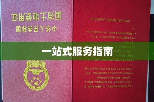 京口一站式服务指南