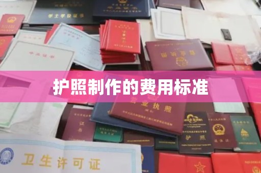 京口护照制作的费用标准