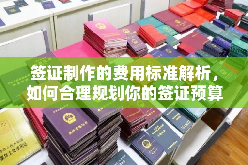 京口签证制作的费用标准解析，如何合理规划你的签证预算
