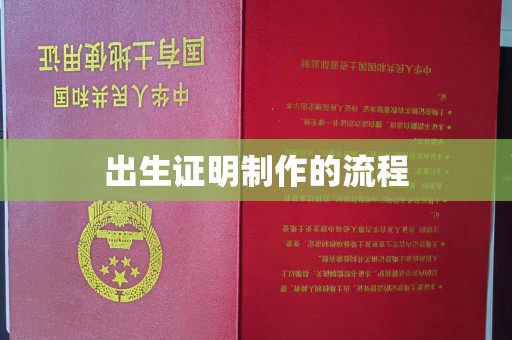 京口出生证明制作的流程