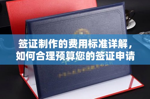 京口签证制作的费用标准详解，如何合理预算您的签证申请成本