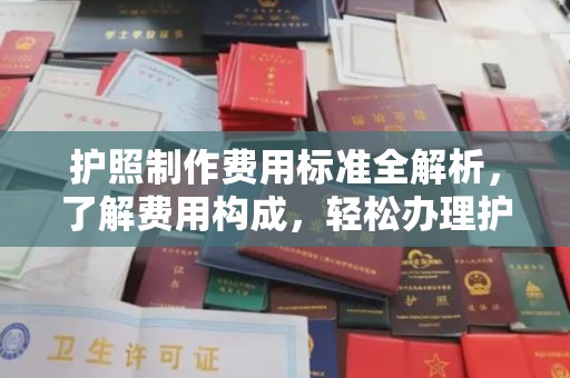 京口护照制作费用标准全解析，了解费用构成，轻松办理护照